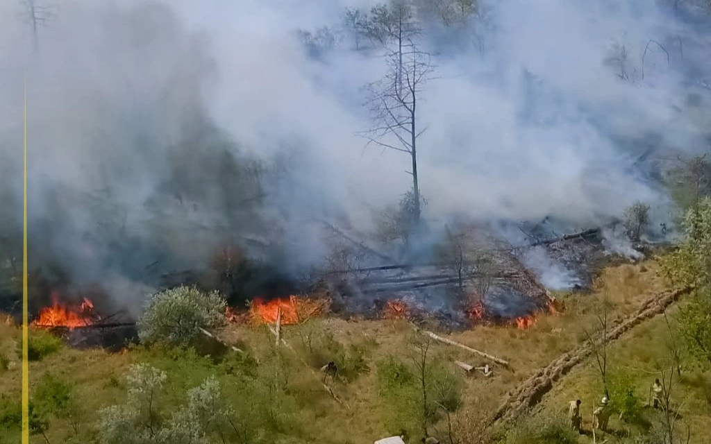 Бір аптада 12 орман өрті: Қазақстанда өрт қаупі жоғары болып тұр