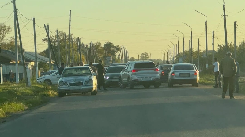 Восьмилетняя девочка погибла после наезда автомобиля в Акмолинской области