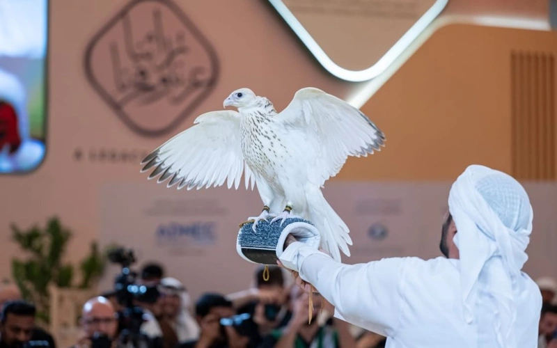 Falcon sets world auction record with $571,000 sale in Abu Dhabi
