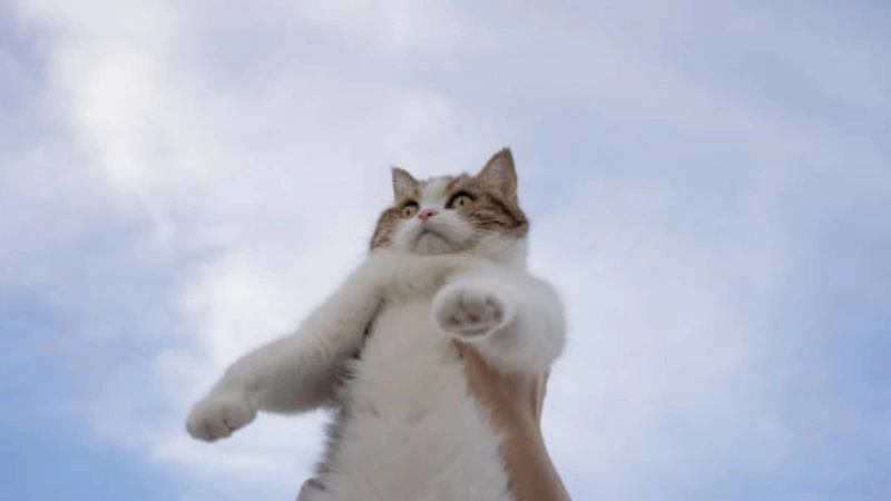 а