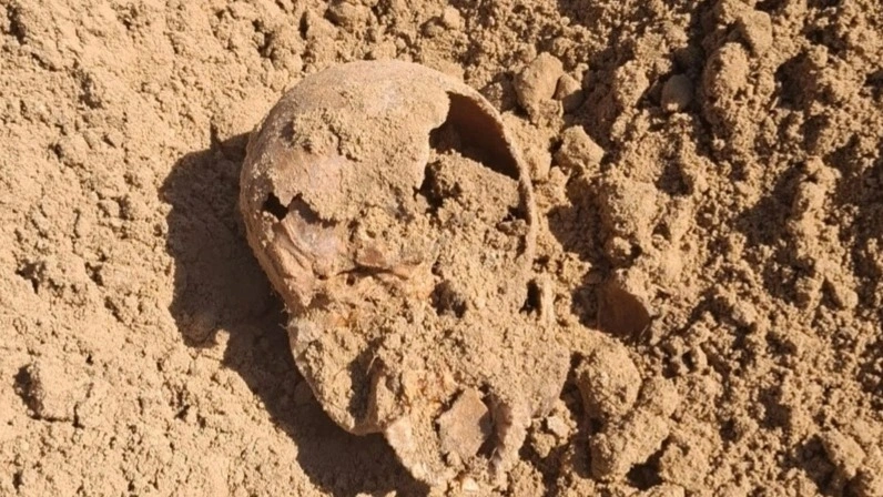 Ice Age rhino remains unearthed in N Kazakhstan