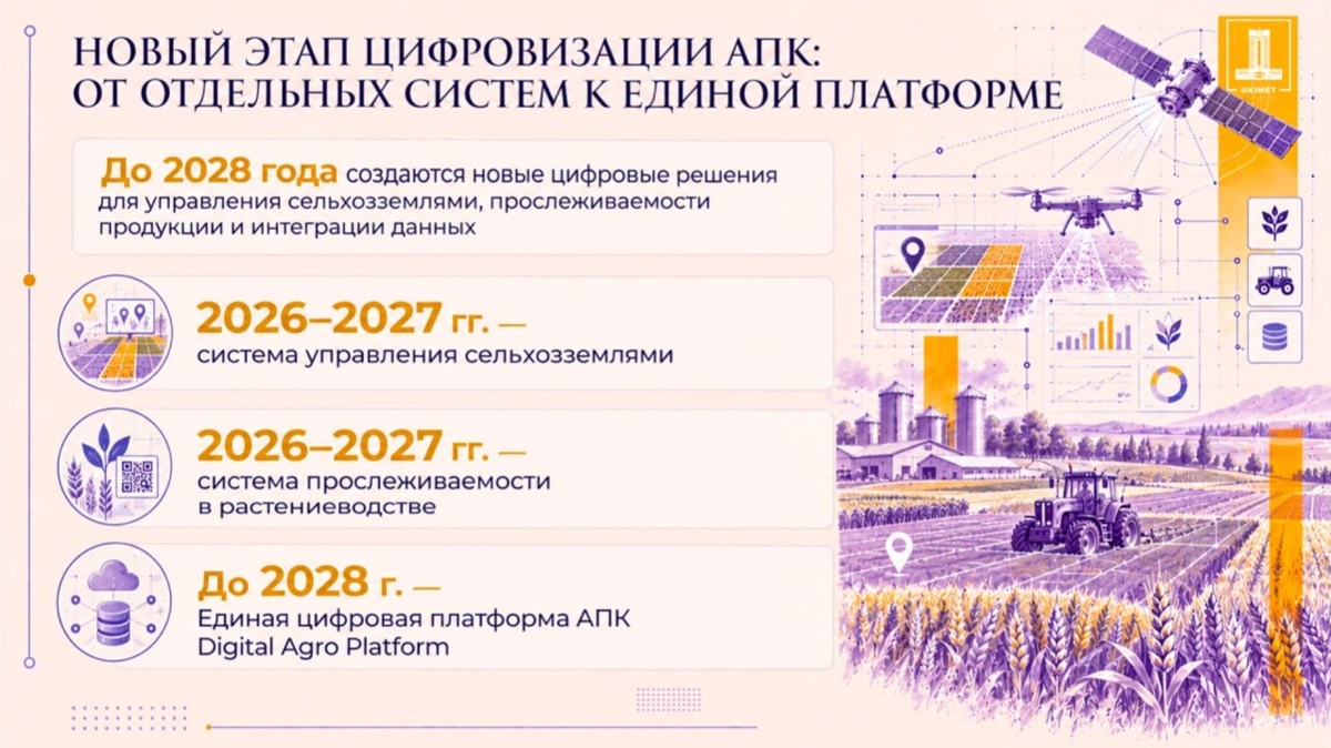 Субсидии, земли и животные: системы АПК Казахстана объединят в одну цифровую платформу