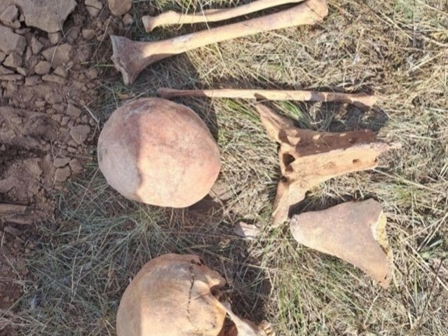 Ice Age rhino remains unearthed in N Kazakhstan Ice Age rhino remains unearthed in N Kazakhstan