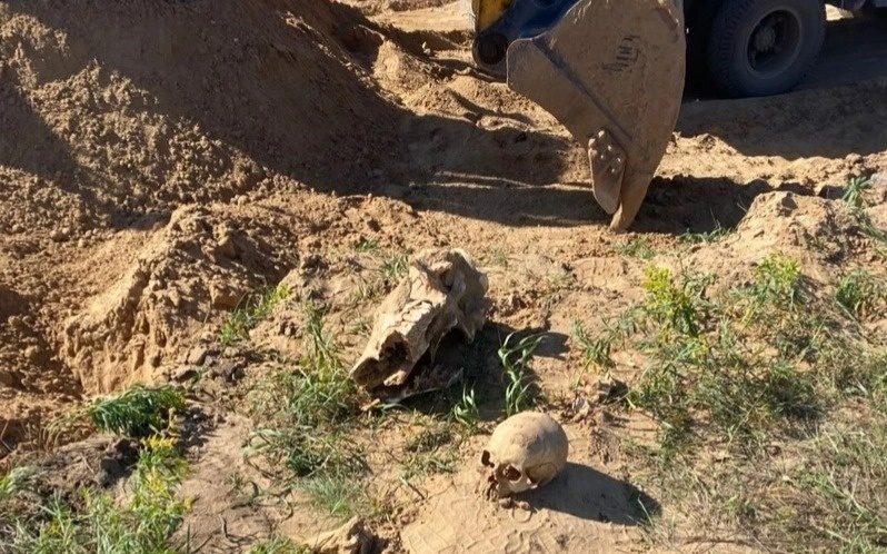 Ice Age rhino remains unearthed in N Kazakhstan Ice Age rhino remains unearthed in N Kazakhstan