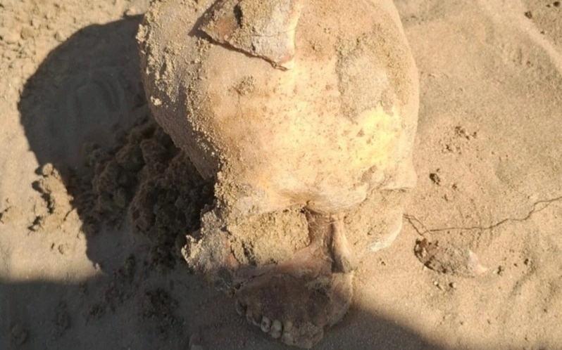 Ice Age rhino remains unearthed in N Kazakhstan Ice Age rhino remains unearthed in N Kazakhstan