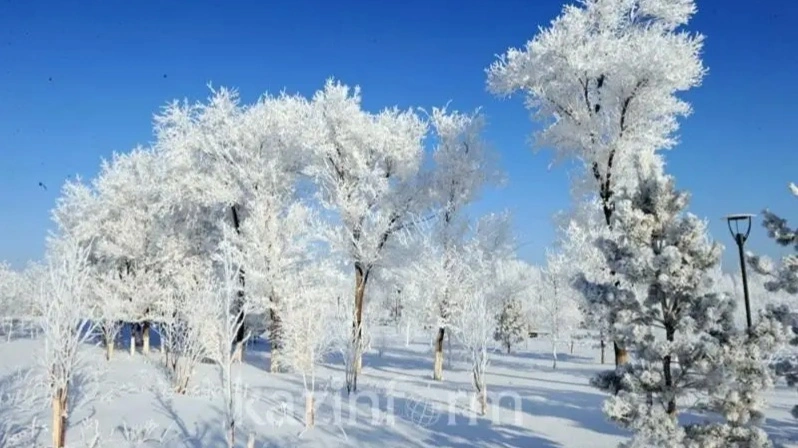жасыл белдеу