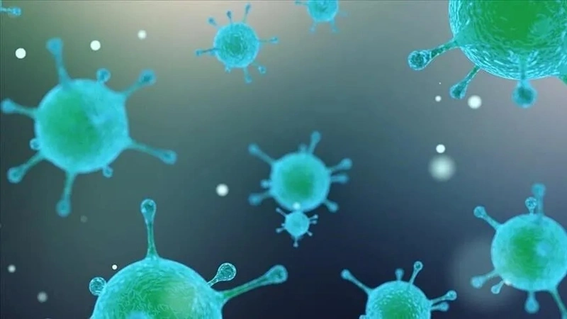 Anthrax outbreak in Zambia kills wildlife, infects humans