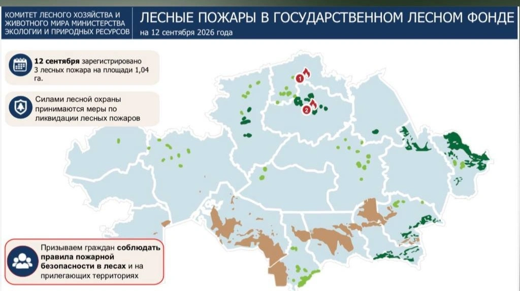 пожары в РК