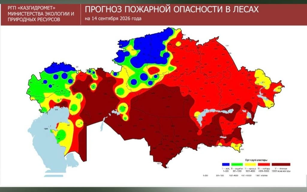 Сразу пять лесных пожаров тушат в Казахстане