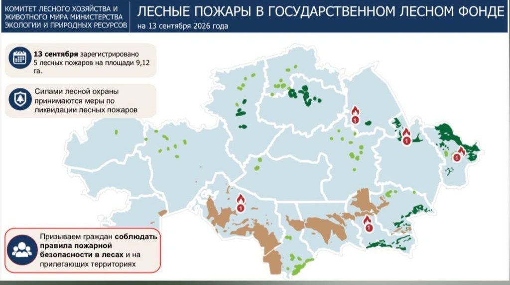 Сразу пять лесных пожаров тушат в Казахстане