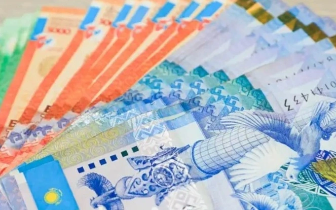 Почему в СКО не осваивают бюджет: названы пять причин