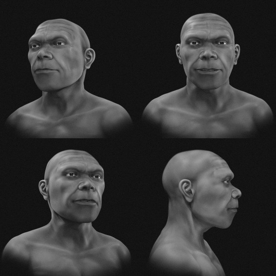 Scientists reconstruct the face of one of the earliest humans Skull