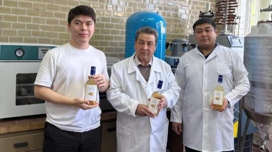 казахстанские ученые запатентовали фитонапиток на основе мёда и имбиря