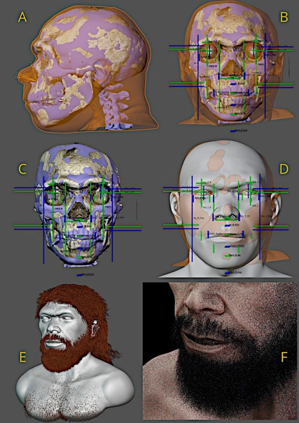 Skull