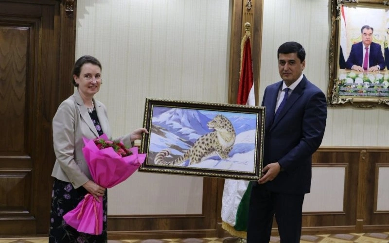 UNICEF, Tajikistan, soil