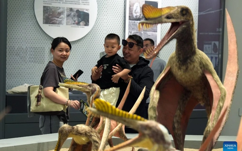 World’s first museum of prehistoric flying reptiles opens in China's Xinjiang