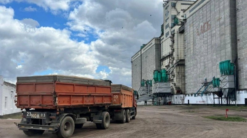 427 вагонов с зерном отправили в Туркестанскую область