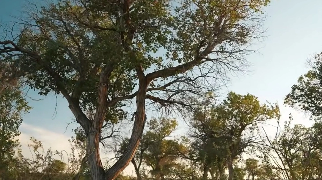 Балхаш