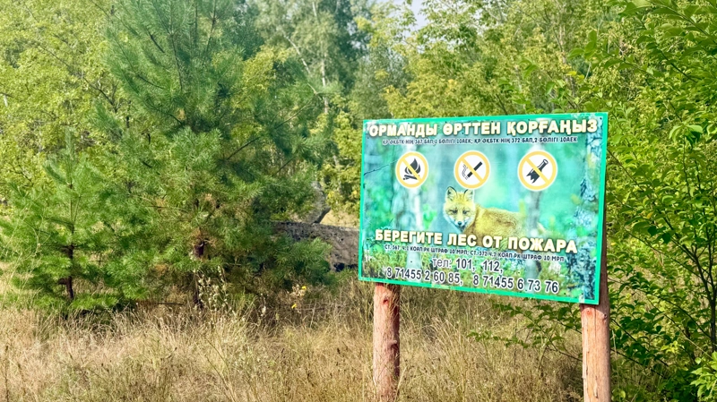 Казахстанцам грозят штрафы до 1500 МРП за нарушение пожарных правил в лесах