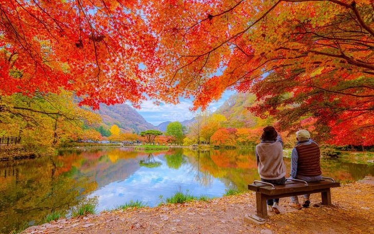 S. Korea launches autumn travel campaign to boost tourism
