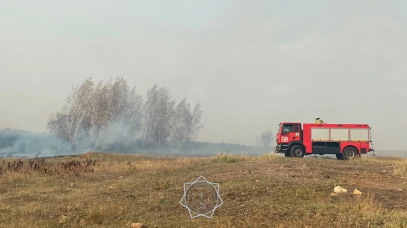 Баянауыл ұлттық паркіндегі орман өрті оқшауланды