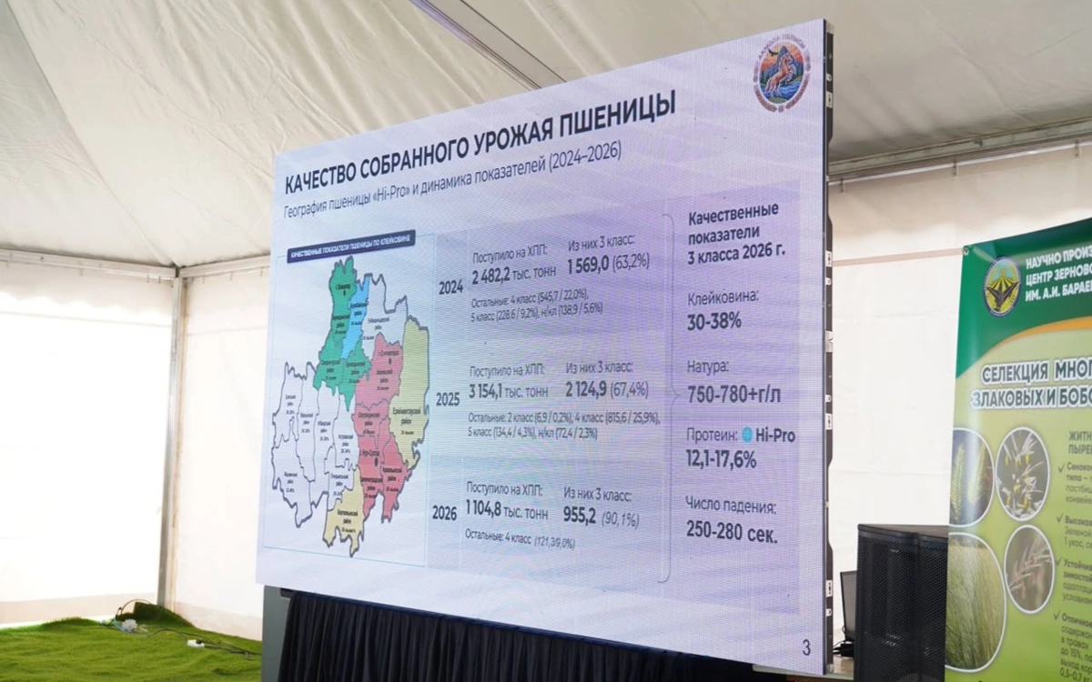 Около 90% акмолинской пшеницы относится к зерну Hi-Pro