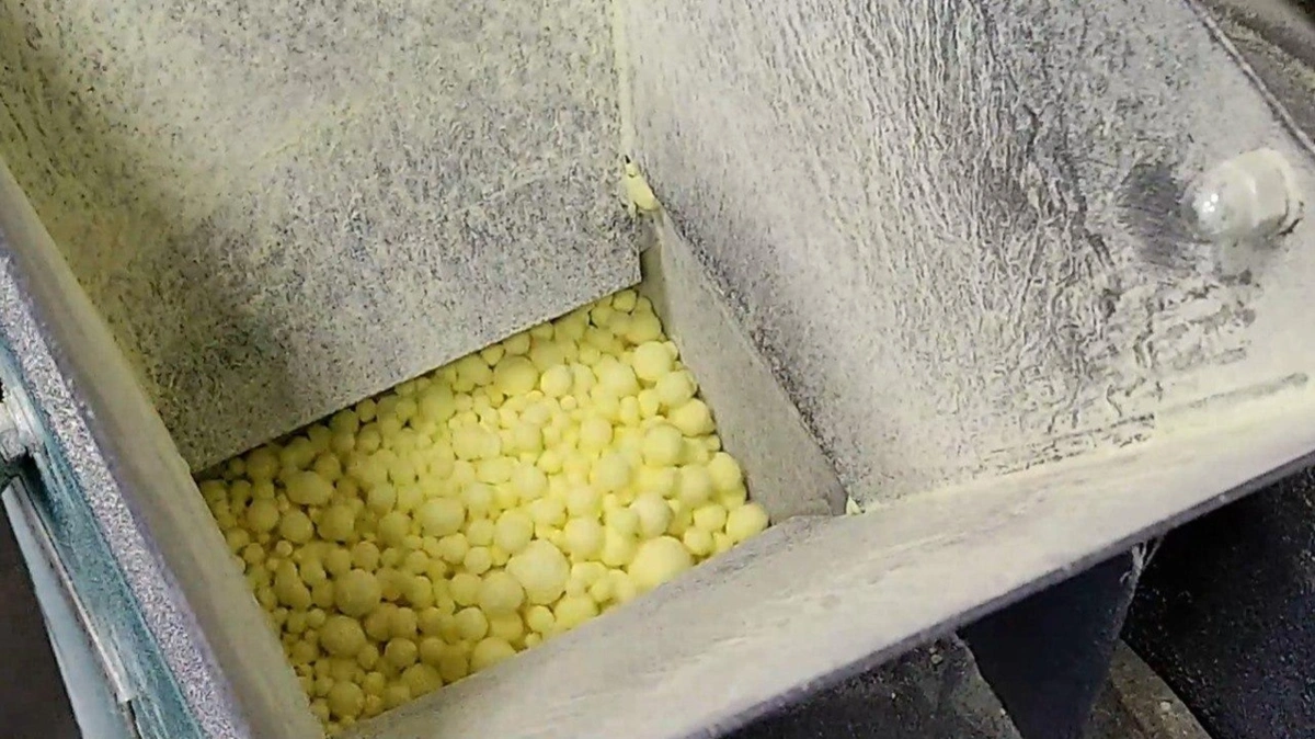 Казахстанские ученые разработали инновационный продукт для повышения урожайности сельхозкультур