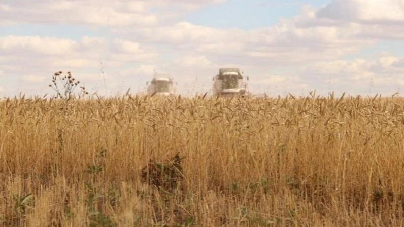 Kazakhstan harvests over 16 mln tons of grain