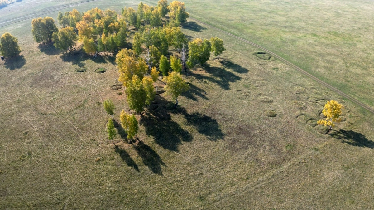 ф