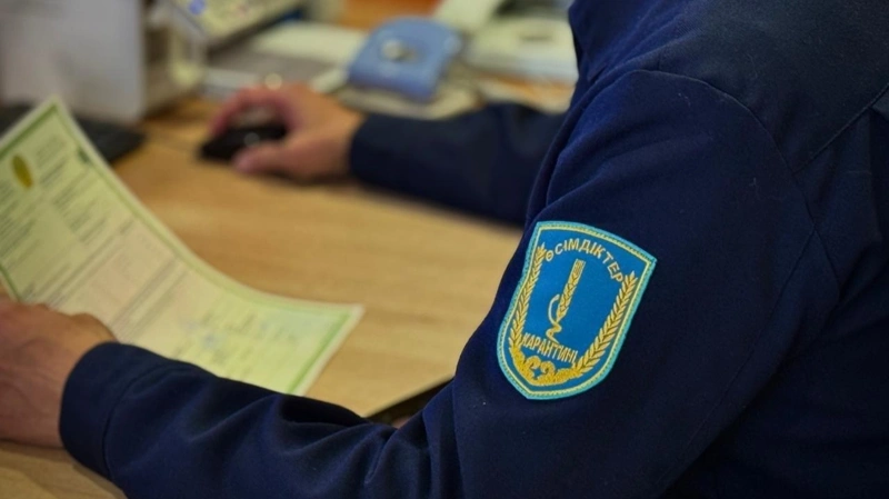 Большинство фитосанитарных нарушений в Казахстане выявили при ввозе продукции из России