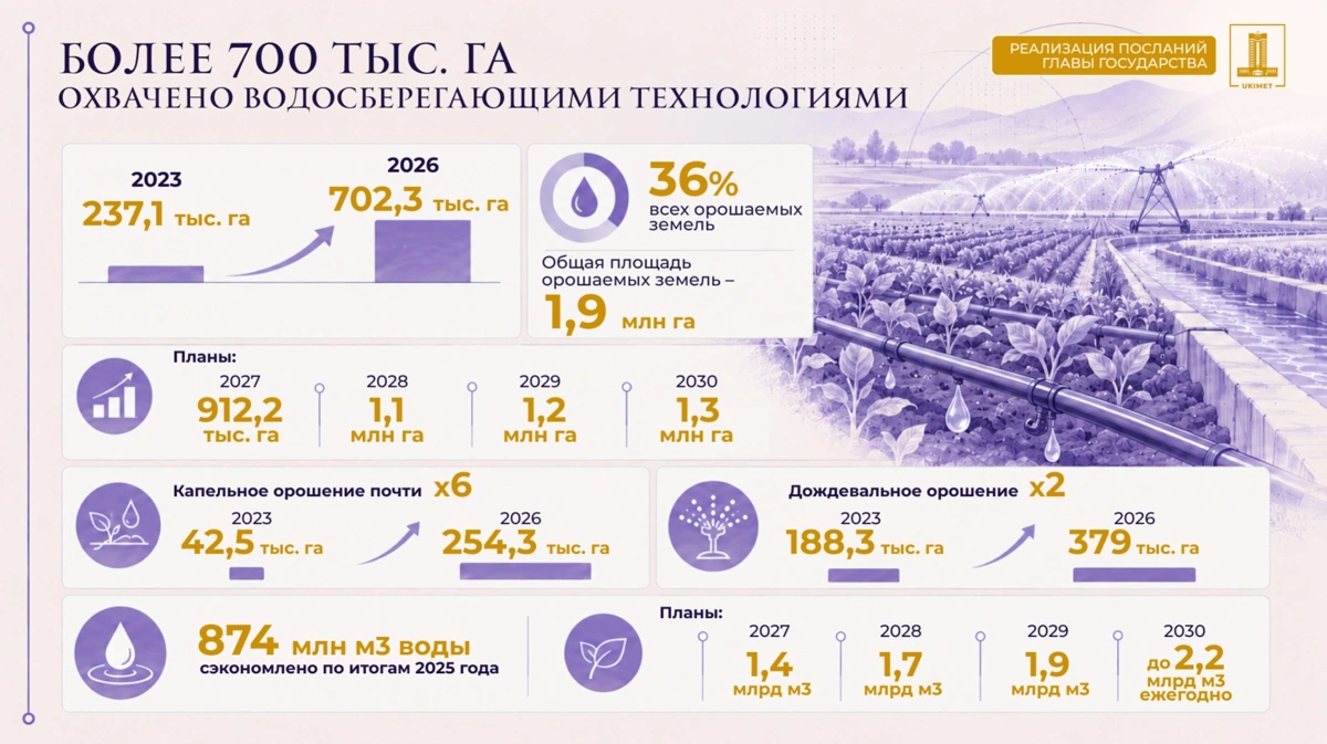 От 237 тысяч до более 700 тысяч га за три года