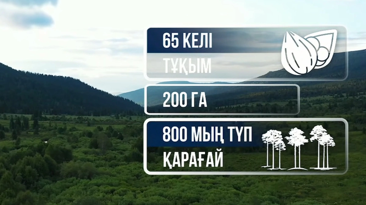 вко