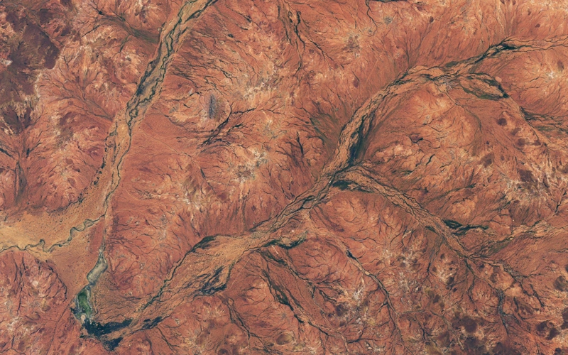 NASA: Western Australia sees boom in desert wildflowers after winter rains