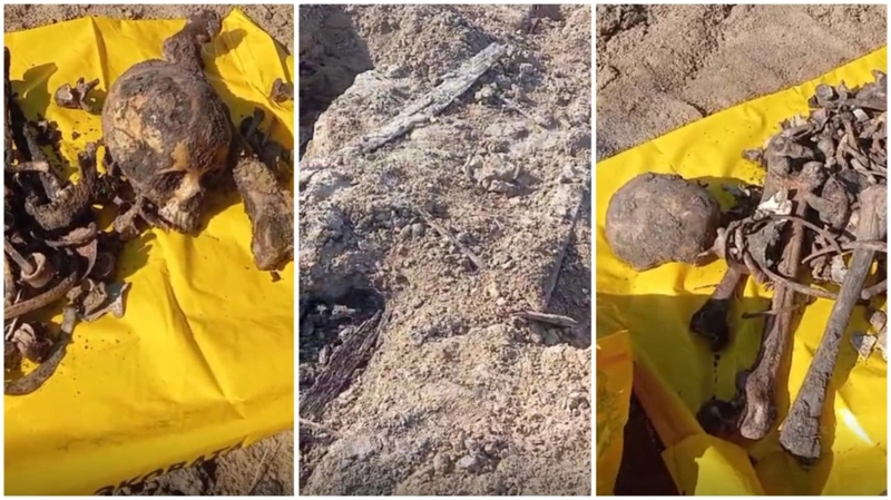 Петропавлда инклюзивті спорт орталығының құрылысы тоқтады: алаңнан адам сүйектері шығып жатыр 