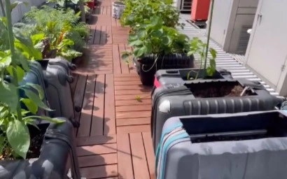 Abandoned suitcases as vegetable planters? Tokyo hotel finds greener use for lost luggage