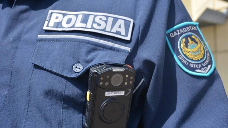 Две туши кабана и ружье нашли в автомобиле в Туркестанской области