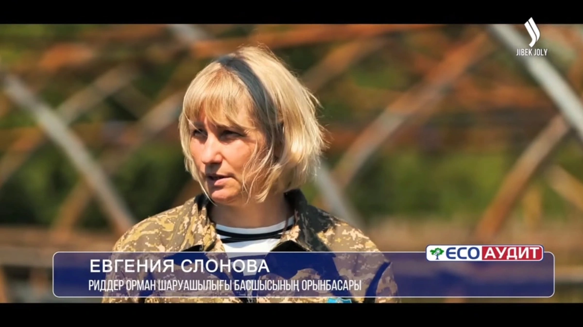 ШҚО-да 2 млрд ағаш егу жоспары қалай орындалып жатыр