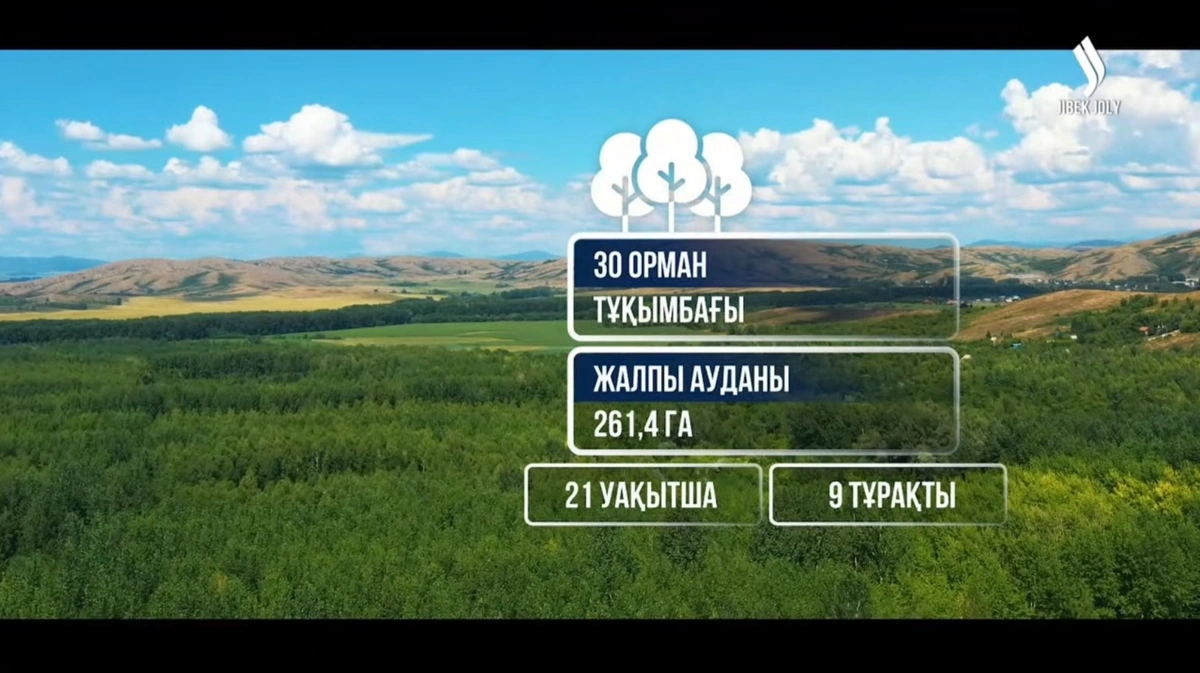 ШҚО-да 2 млрд ағаш егу жоспары қалай орындалып жатыр