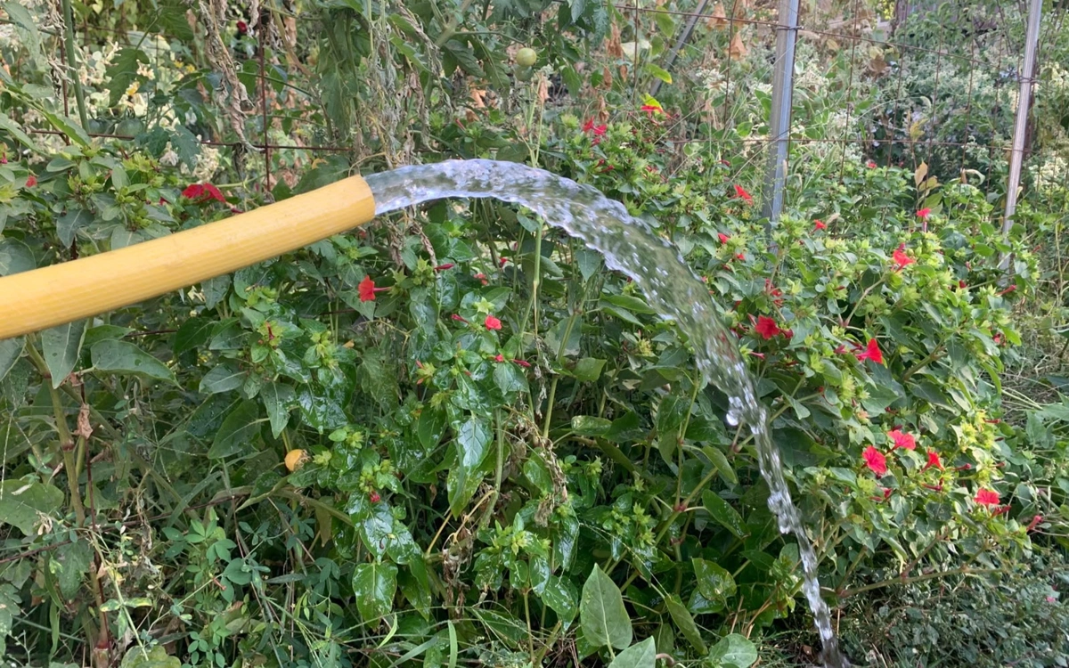 поливная вода