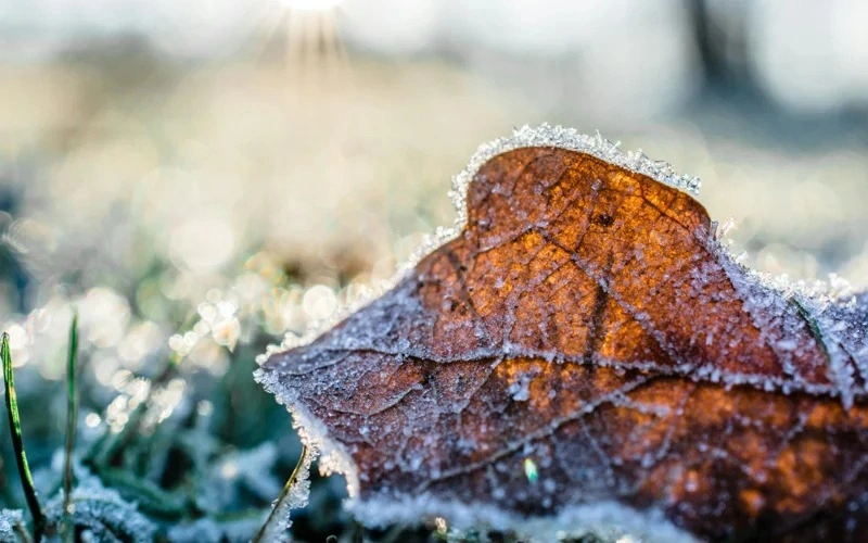 Snow, frost, and strong winds forecast across Kazakhstan