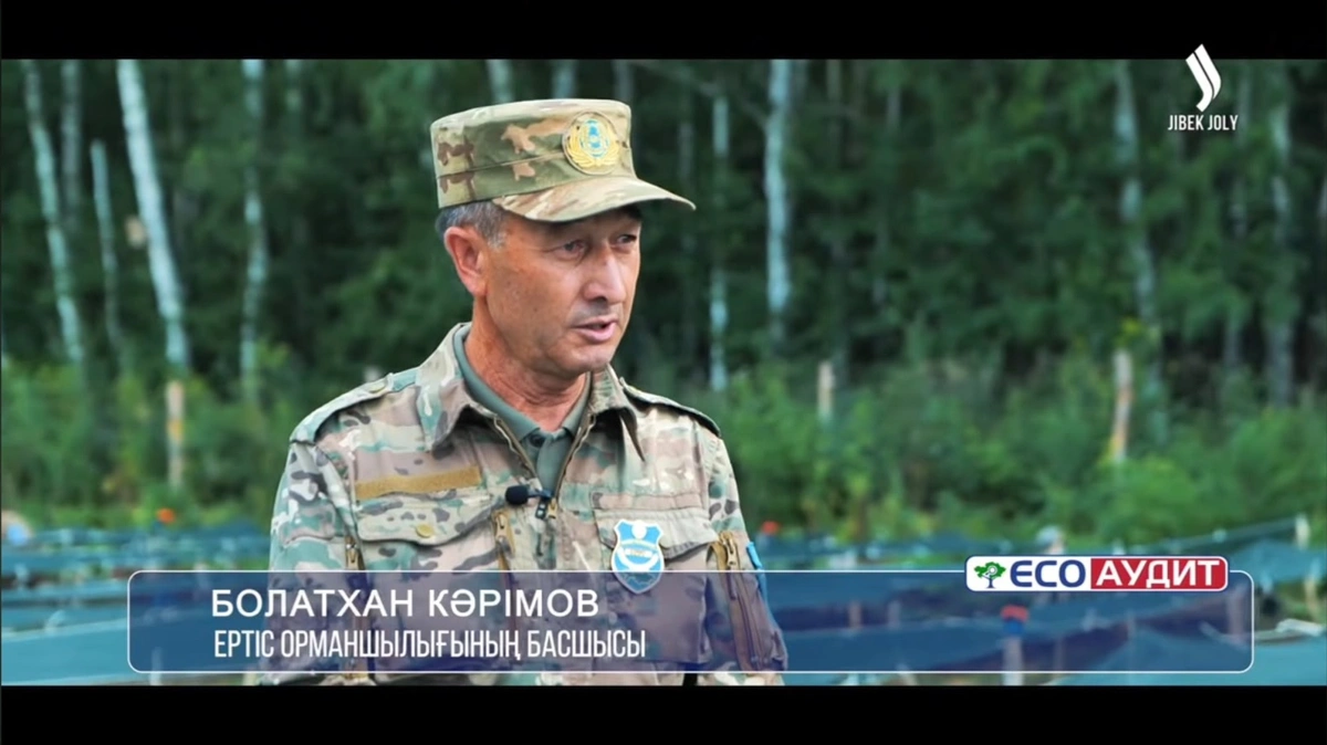 ШҚО-да 2 млрд ағаш егу жоспары қалай орындалып жатыр