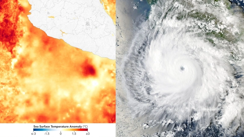Hurricane Polo, NASA, weather