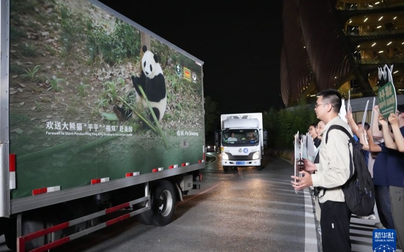 Giant pandas Pingping and Fushuang depart for 10-year stay at Zoo Atlanta