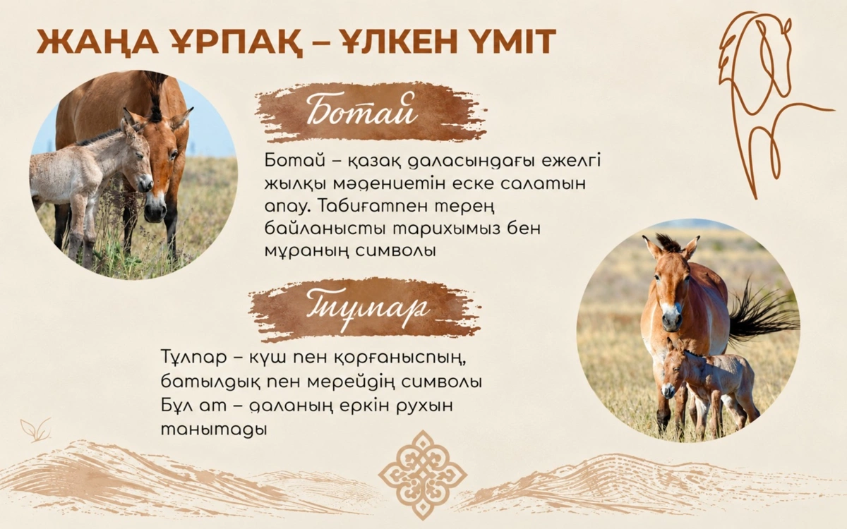 Қазақ даласында туған алғашқы керқұлан құлындарына ат қойылды