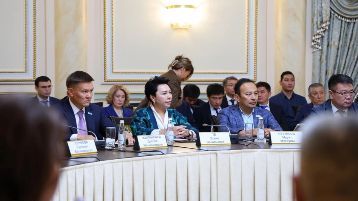 Генплан Алматы получил положительное заключение комплексной экспертизы