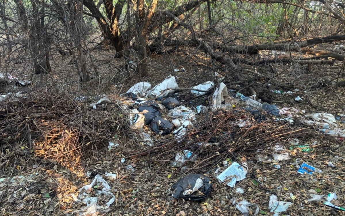 СҚО-дағы Бескөл маңындағы ормандарда қоқыс үйінділері пайда болған