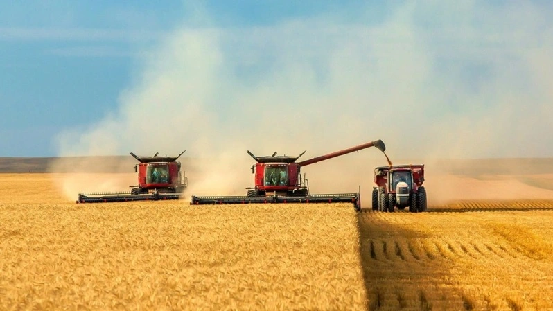 Kazakhstan to launch 6 deep grain processing projects