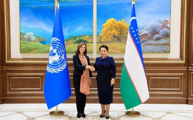 UN Women, Uzbekistan