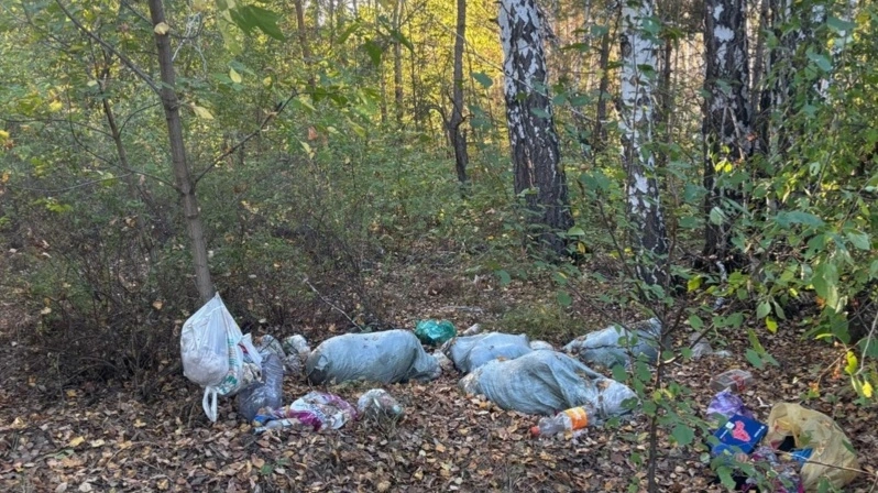 Полигон в 30 километрах: в лесах близ Бесколя в СКО образовались залежи мусора