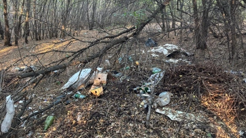 Полигон в 30 километрах: в лесах близ Бесколя в СКО образовались залежи мусора